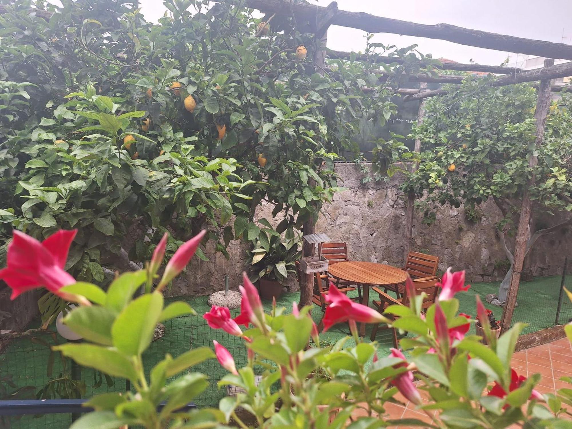 Grazia'S Home Sant'Agnello Dış mekan fotoğraf