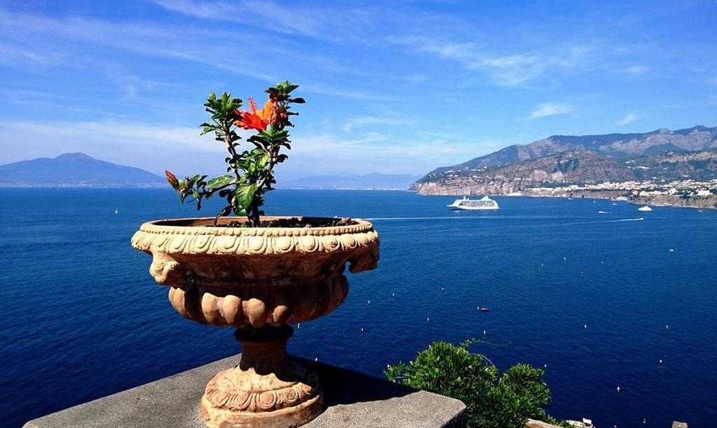 Grazia'S Home Sant'Agnello Dış mekan fotoğraf
